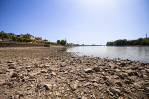 rhein-niedrigwasser-wiesbaden-kiesbank_august-2026.jpg Niedriger Wasserstand des Rheins bei Wiesbaden im August 2026, freiliegende Kiesbänke am Ufer