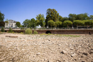 rhein-niedrigwasser-wiesbaden-rheingaustrasse_august-2026.jpg Niedriger Wasserstand des Rheins bei Wiesbaden im August 2026, freiliegende Kiesbänke am Ufer